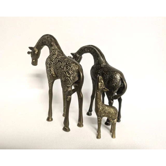 Vintage Brass Giraffe Figurines - Set of 3 For Sale - Image 4 of 11