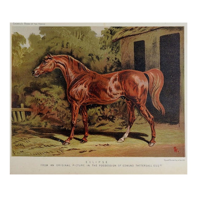 Late 19th Century British Race Horse Eclipse Chromolithograph For Sale