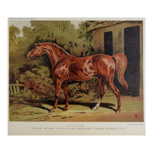 Late 19th Century British Race Horse Eclipse Chromolithograph