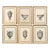 Set of Six Neoclassical Style Etchings After Carlo Antonini. Italy, 20th Century For Sale