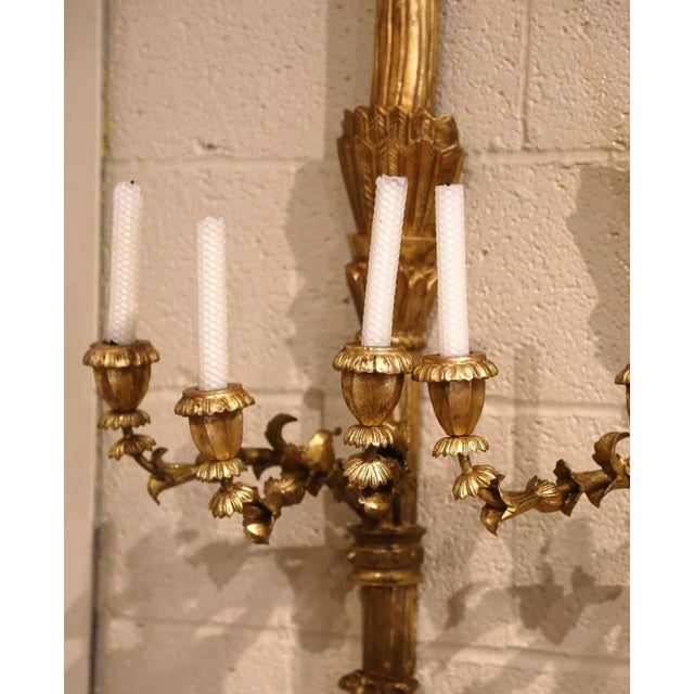 French Pair of Vintage French Louis XVI Style Carved Giltwood Three-Light Wall Sconces For Sale - Image 3 of 9
