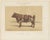 Olivier De Penne, Ayrshire Bull, Scottish Cattle, 1863, Chromolithograph For Sale - Image 3 of 9