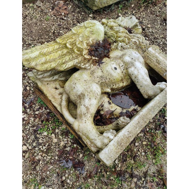 Relief in Greek Thassos Marble Lion of Saint Mark, Venice For Sale - Image 6 of 11