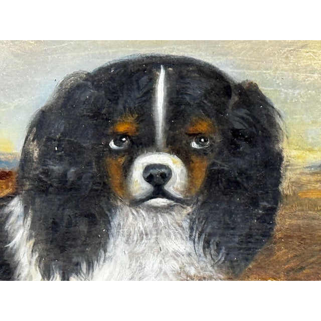 British Blenheim and Prince Charles Tricolour Spaniels Victorian Dogs Oil Portrait in a Wooded Country Landscapen in the Manner of John Dalby of York For Sale - Image 13 of 18