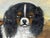 British Blenheim and Prince Charles Tricolour Spaniels Victorian Dogs Oil Portrait in a Wooded Country Landscapen in the Manner of John Dalby of York For Sale - Image 13 of 18