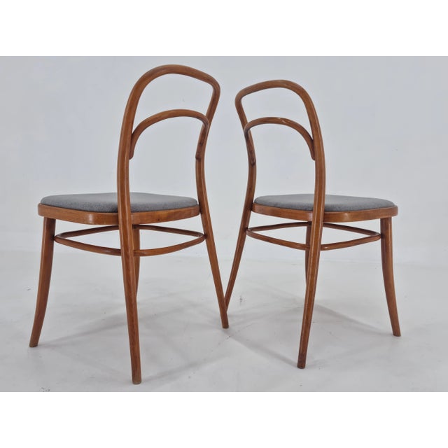 1960s Set of Bentwood Chairs by Antonín Šuman, 1960s For Sale - Image 5 of 12
