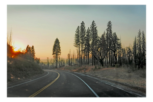 Jo Crowther, Highway California, 2016, Archival Inkjet Print
