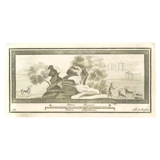 Vincenzo Campana, Fresco from Antiquities of Herculaneum, 18th Century, Etching For Sale