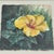 Contemporary Patti Touchton Original Watercolor Yellow Hibiscus Florida Botanical Painting For Sale - Image 3 of 12