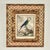 Brown Antique Set of Eight Hand Colored Parrot Engravings For Sale - Image 8 of 18