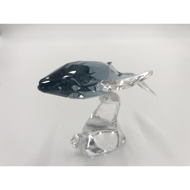 2010s 2012 Swarovski Scs Annual Edition Whale For Sale - Image 5 of 5