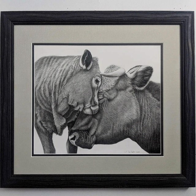 Beloved by Tammy Liu-Haller | Graphite on Paper Drawing of Two Cows Touching Heads For Sale