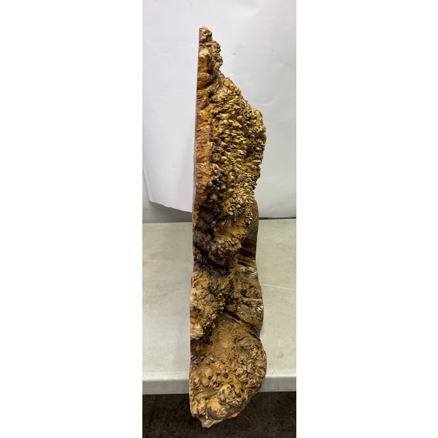 Mid-Century Modern Vintage Signed Burl Wood Free Form Tree Sculpture For Sale - Image 3 of 5