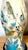 Late 19th Century Pair of English Decoupage Yellow-Ground Bird & Botanical Lamps, circa 1970s For Sale - Image 5 of 13