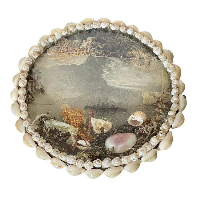 Antique Sea Shells Sailors Valentines For Sale