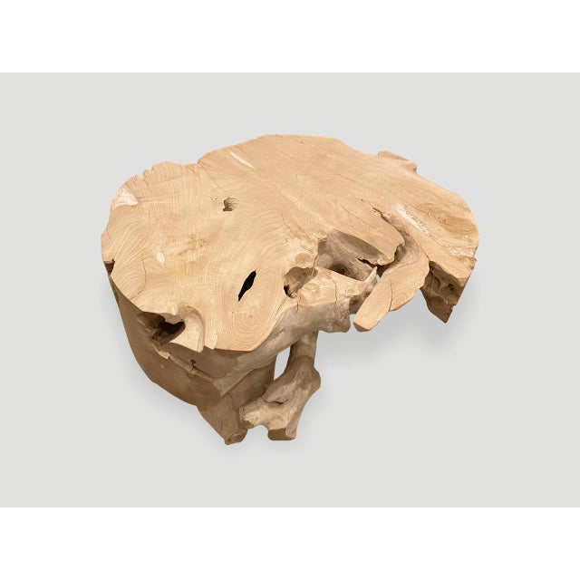 Andrianna Shamaris Organic Bleached Teak Wood Coffee Table or Side Table For Sale - Image 14 of 18
