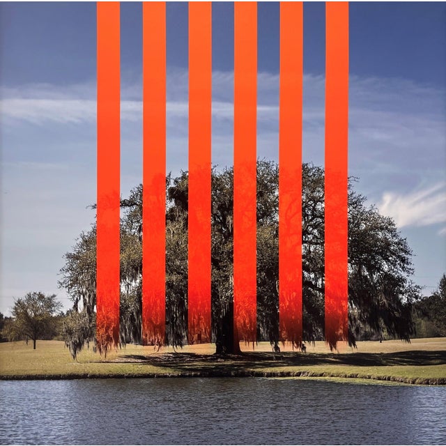 Fat Tuesday - 2 by Dan Kaufman | Archival Photo Print on Canvas of a tree by a lake with orange stripes For Sale