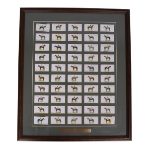 Set X 50 Derby & Grand National Winners 1933 Player's Cigarette Cards