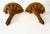 Hollywood Regency Gilt Shelf Brackets, a Pair For Sale - Image 4 of 11