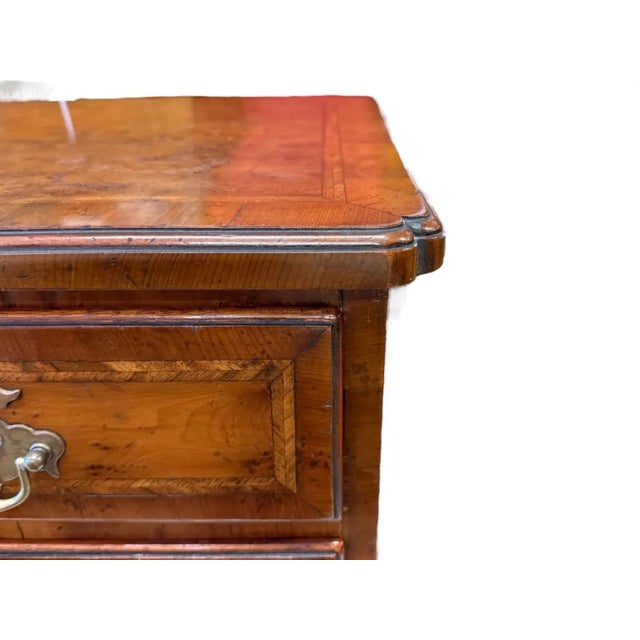 English Mahogany Chest With Burl and Banding For Sale In Tampa - Image 6 of 11