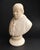 Stone Italian School, Bust of Pope Pius IX, 1800s, Alabaster For Sale - Image 7 of 11