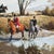 1980s Persis Clayton Weirs Signed Limited Edition Print “Out Foxed” (68 of 950) For Sale - Image 5 of 5