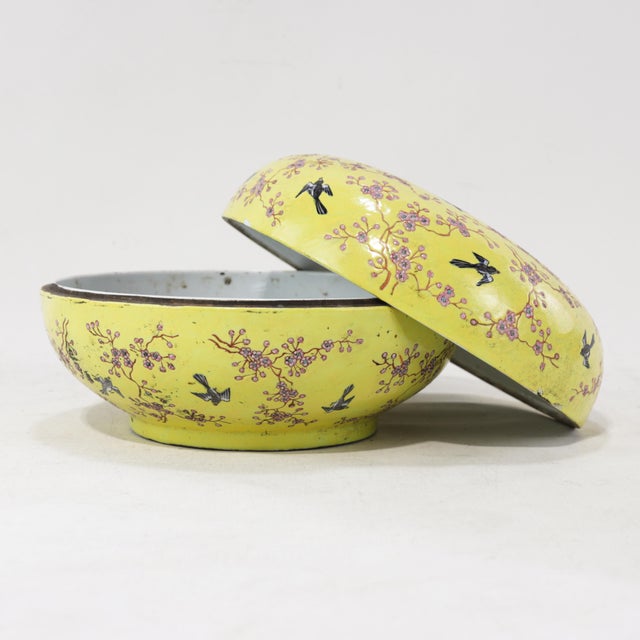 Vintage Chinese Yellow-Ground Famille Rose 'Prunus and Magpie' Porcelain Covered Box For Sale - Image 4 of 13