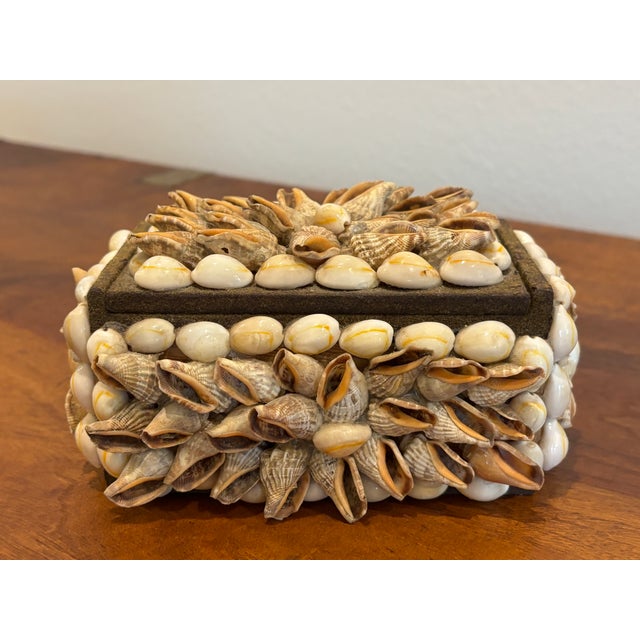Vintage Palm Beach Style Rectangular Encrusted Shell Box in Neutral Palette For Sale - Image 16 of 18