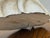 Handmade Carved Wood Cockatoo Sculpture For Sale - Image 11 of 12