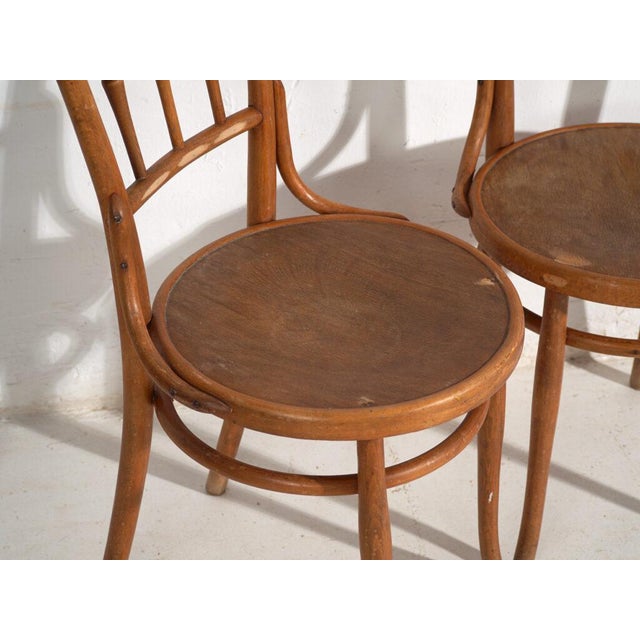 Antique Bentwood Chairs, Central Europe, 1900s, Set of 4 For Sale - Image 5 of 13