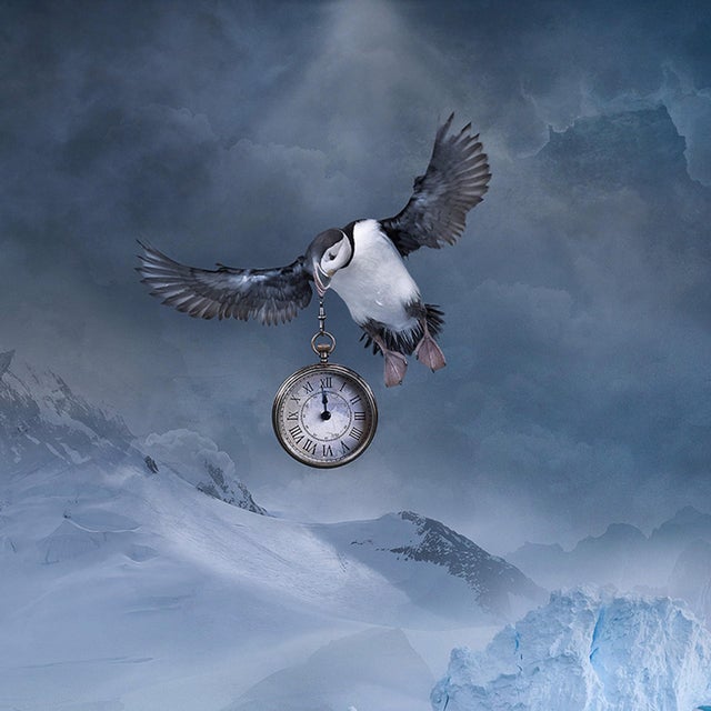 Contemporary Vanishing Motherland by Marcin Owczarek | Photography - Dye Sublimation on Aluminum of a polar bear on melting ice For Sale - Image 3 of 5