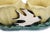 Set of 2 Vintage McCoy Planters - Birds and Tulips Double Planters For Sale - Image 14 of 14