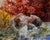 Untitled by Jaclyn Alderete | Oil on canvas Woman reclining with flowers in the background. For Sale