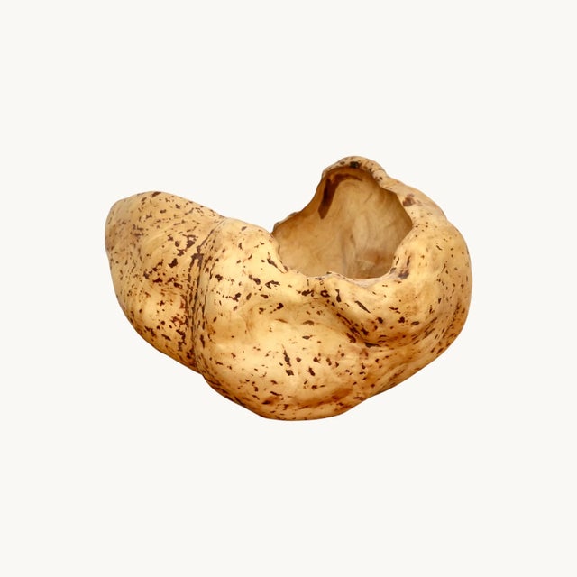 Large Magnifying Glass in Elm, Sweden, 1970s For Sale - Image 3 of 12