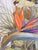 This bright and wild scene features exotic bird of paradise blooms and the dramatic plumes of the grass tree, the palm...