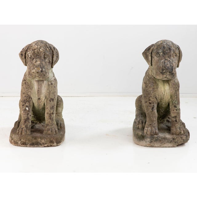 This mid-century English pair of composite stone boxer dog garden statues embodies alert loyalty and quiet strength. The...