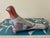 20th Century Mexican Folk Art Hand-Painted Tonalá Bird For Sale - Image 13 of 13
