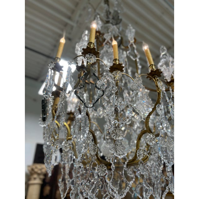 Palatial 19th Century French Louis XV Style Gilt Bronze and Crystal 16 ...