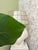 Coastal Vintage Nautilus Shell Lamp - Rewired Reshaded For Sale - Image 3 of 7
