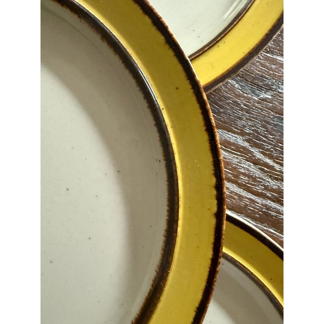 Vintage Rainbow Stoneware Citron 10.5 Inch Dinner Plates Yellow Brown Japan - Set of 5 For Sale In Chicago - Image 6 of 10