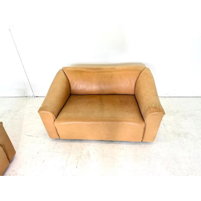 Animal Skin DS 47 Chair with Neck Leather from de Sede, Set of 2 For Sale - Image 7 of 16