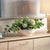 Traditional Protea Blooms White Bowl Centerpiece For Sale - Image 3 of 9