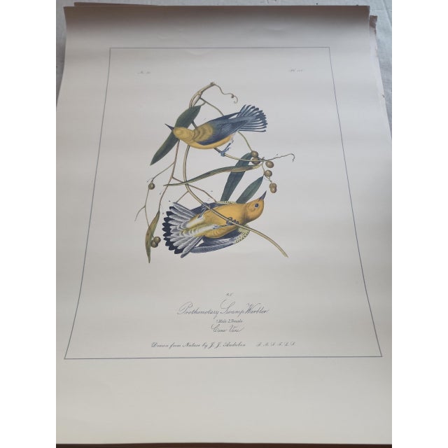 John James Audubon 1950s Northwestern Mutual Life Folio Audubon's Birds of America Prints - Set of Four For Sale - Image 4 of 5