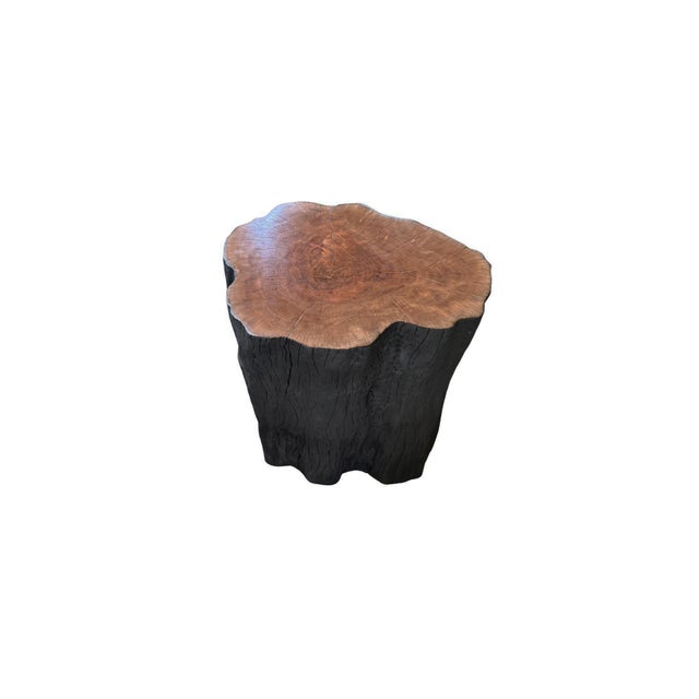 Natural Solid Lychee Wood Side Table Charred & Natural Finish, Modern Organic For Sale - Image 6 of 7
