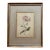 Antique 18th Century English George III Botanical Watercolor Painting Study of a Flower For Sale