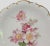 Late 20th Century Late 20th Century Romantic Wild Rose Golden Grown Schumann Arzberg Germany Fine Porcelain Serving Plate For Sale - Image 5 of 8