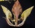 Glass Mid 20th Century Italian Murano Style Art Glass Leaf Chandelier in Amber and Brown – 6 Light For Sale - Image 7 of 9