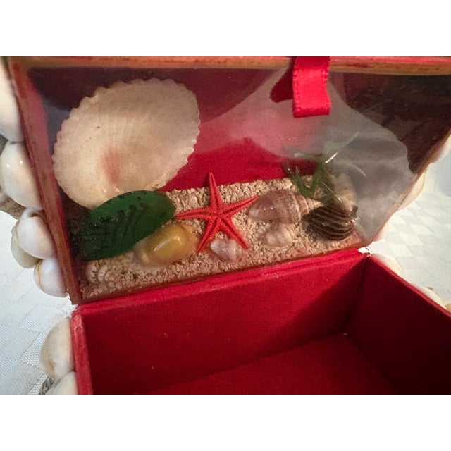 Nautical 1920s Sea Shell Encrusted Domed Lid Box For Sale - Image 3 of 8