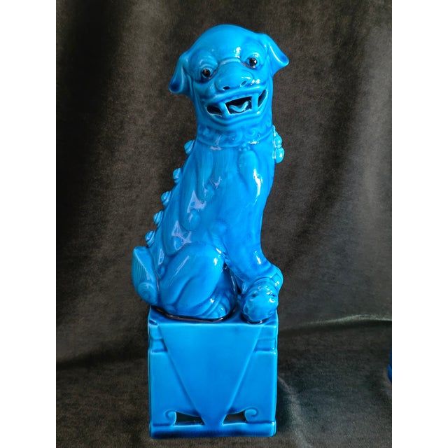 Mid-Century Vintage Turquoise Blue Foo Dogs. Matching Pair For Sale In New York - Image 6 of 12