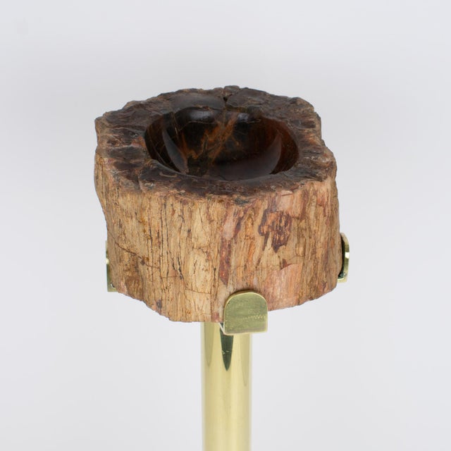 Mid-Century Brass and Petrified Wood Ashtray Vide Poche Side Table, circa 1960 For Sale - Image 10 of 14